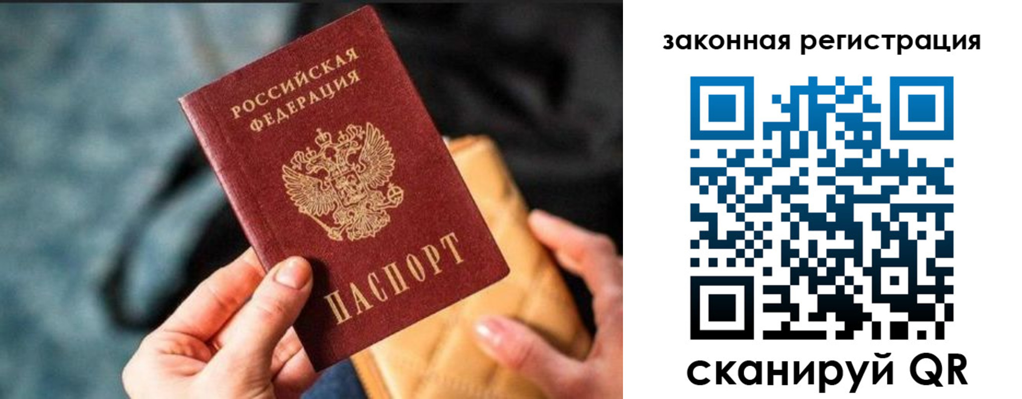 найти адрес прописки в Светогорске